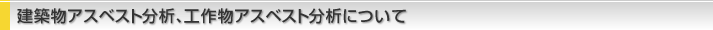 zAXxXǵAH앨AXxXg͂ɂ